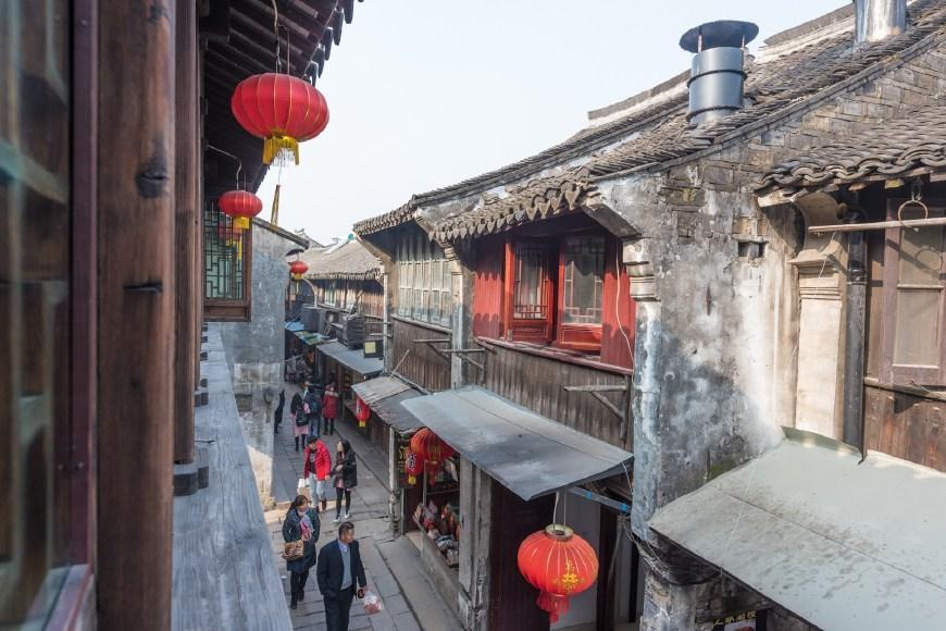 奔跑的兔子